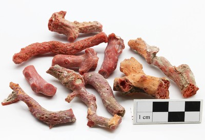 Lot lose Korallen zus. ca. 358,00 ct, Stäbe in versch. Größen, Formen und Farben, Versand nur in EU Länder möglich