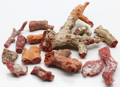 Lot lose Korallen zus. ca. 311,00 ct, Rohsteine in versch. Größen, Formen und Farben, Versand nur in EU Länder möglich