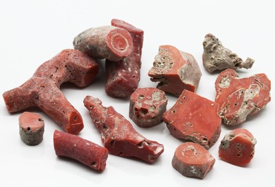 Lot lose Korallen zus. ca. 360,00 ct, Rohsteine in versch. Größen, Formen und Farben, Versand nur innerhalb der EU möglich
