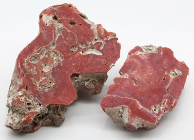 Lot lose Korallen zus. ca. 216,00 ct, Rohsteine in versch. Größen, Formen und Farben, Versand nur innerhalb der EU möglich