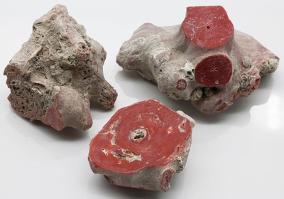Lot lose Korallen zus. ca. 270,00 ct, Rohsteine in versch. Größen, Formen und Farben, Versand nur innerhalb der EU möglich