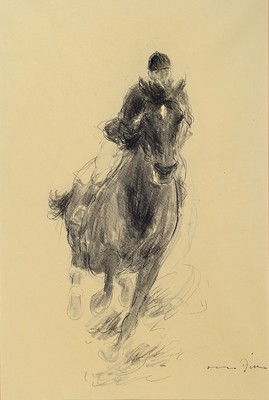 Otto Dill und Lina Sommer: Litho aus der Pferdemappe, handsigniert, ca. 51x 34 cm, unter Glas, PP., Buch: Lina Sommer, Magister "Fuchs", ...