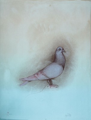 Bruno Bruni, geb. 1935, "Taube", Farblithografie, sign., num. 136/250, ca. 79x59 cm ^