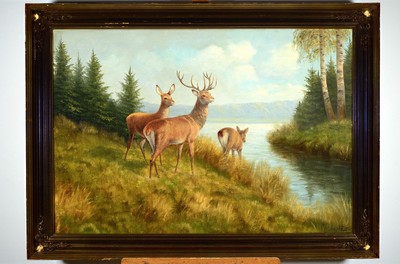 Wolmer Zier, 1910-1990 dänisch, Rotwild auf Waldlichtung, rechts unten signiert, Öl/Lwd, Rahmen, 80x112 cm