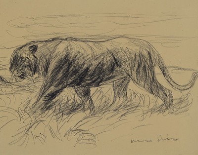 Otto Dill, 1884 Neustadt a.d. Weinstraße - 1957 Bad Dürkheim, Bleistiftzeichnung auf Papier, schreitender Tiger, rechts unten sign., PP, unter ...