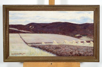 Jens Jensen Egebjerg, 1848-1922, Seis Bakker, so bezeichnet und datiert 1900, Weite hügelige Agrarlandschaft, Öl/Lwd, dat., ca. 40x74cm, R. ca. ...