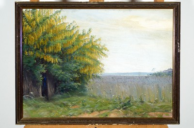 Sigvard Hansen, 1859 Kopenhagen-1938 Hellerup, Weite Seeuferlandschaft mit Schilf und blühendem Baum, Öl/Lwd, rechts unten signiert, ca. 38x52cm, ...