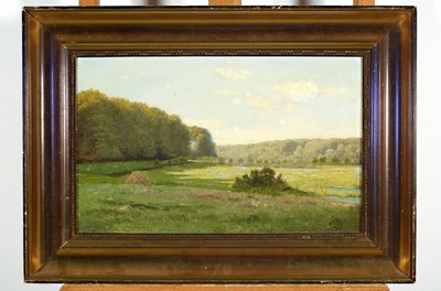 Johannes Boesen, 1847-1916, Weite Landschaft mit Wiese und Wald, Öl/Lwd, rechts unten signiert, ca. 28x45cm, R. ca. 41x58cm