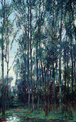 Werner Brand, 1933-2021, Pappeln im Gegenlicht, rückseitig auf Etikett so betitelt, Öl/Malkarton, signiert und dat. 96, ca. 65x 42cm, R. ca. 76x52cm