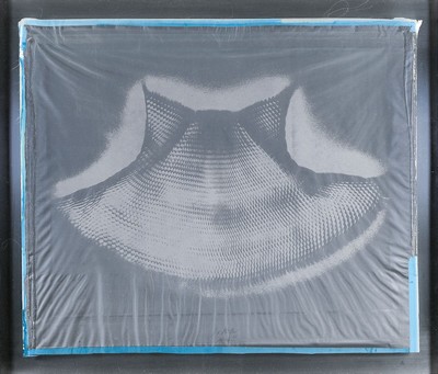 Heinz Mack, geb. 1931,, Siebdruckgewebe zwischen Plexiglasscheiben in Alurahmen, Unikat, handsigniert, ca. 68.5 x 79.5 x 4 cm, dieses Unikat des ...