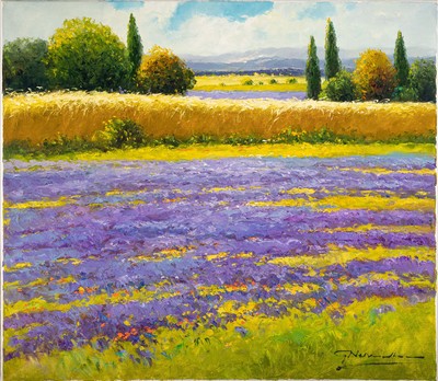 Gerhard Nesvadba,geb. 1941 Hessen, zwei sommerliche Landschaften, blühende Lavendelfelder in der Provence, signiert, Öl/Lwd, 70x80 cm