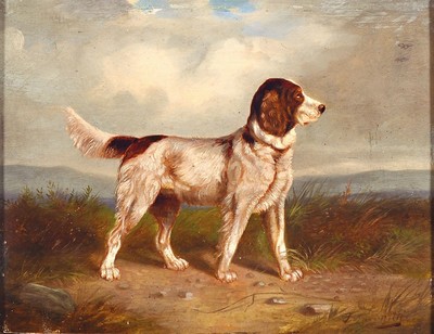 J. Havenith, englischer Tiermaler des 19. Jh., Jagdhundeporträt, weite Landschaft mit Hügeln im Hintergrund, Öl/Holz, rechts unten signiert, ca. ...