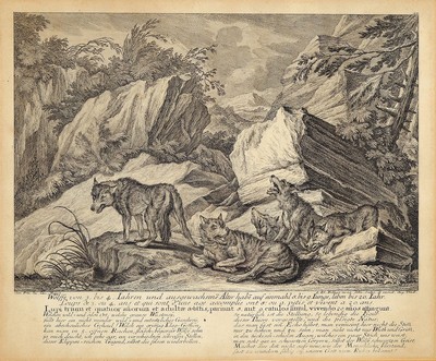 Johann Elias Ridinger, 1698 Ulm- 1767 Augsburg, 2 Kupferstiche: "Der Wolff in der Grube zu fangen mit dem Lam oder Schaff" und Kupferstich ...