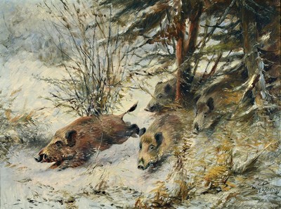 Willy Lorenz, 1901-1981 Köln, deutscher Tiermaler der Düsseldorfer Schule, hier: Wildschweine im Schnee, Öl/Lwd, rechts unten signiert, ca. ...