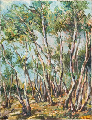 Unbekannter Künstler des 20.Jh., Birkenwald, Öl/Lwd, unleserlich signiert u. datiert Aug 09, 66x51 cm