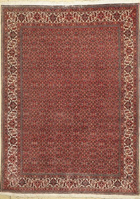 Bidjar Kork fein, Persien, ca. 40 Jahre, Korkwolle, ca. 230 x 172 cm, EHZ: 1-2