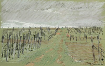 Werner Brand, 1933 Löbau-2021 Hochstadt/Pfalz , Landschaft in den Weinbergen mit Rebzeilen, Pastell auf Papier, rechts unten signiert und dat. 80, ...