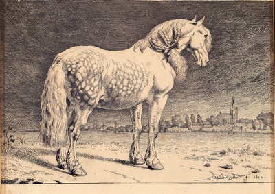 Paulus Potter, 1625-1654, Radierung, Pferdedarstellung, in der Platte signiert und dat. 1652, Altersspuren, unter Glas, Rahmen, 15 x 22 cm