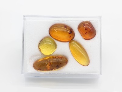 Lot 5 lose Bernsteine, Cabochons in versch. Größen