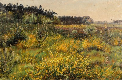 H. Hoffmann, wohl Hubert Hoffmann, 1904-1999 , Heidelandschaft mit Kiefern, Öl/Lwd, links unten signiert, ca. 41x60cm/48x68cm, Rahmen