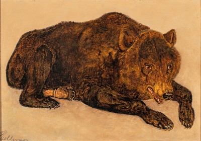 Theodor Julius Kellerup, 1818-1850, liegender Bär, Öl/Malkarton, links unten signiert, ca. 24.5x34.5cm, R. ca. 31x41cm