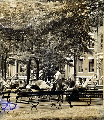 Fritz Henle, 1909 - 1993, Fotografie: bromide silver gelatin print, Titel: NYC-Washington Square park - Greenwich Village, rückseitig ...