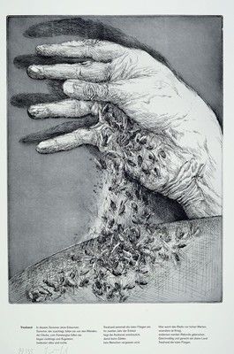 Günther Grass, 1927 Danzig - 2015 Lübeck, Offset, handsigniert, aus 1995, num. 22/35, 84 x 59.5 cm, Günther Grass war nicht nur ein erfolgreicher ...