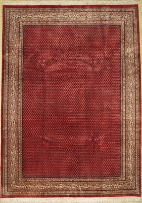 Sarogh Mir fein, Indien, ca. 30 Jahre, Korkwolle auf Baumwolle, ca. 283 x 207 cm, EHZ: 1