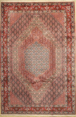 Senneh Kork fein, Persien, ca. 40 Jahre, Korkwolle auf Baumwolle, ca. 303 x 205 cm, EHZ: 1