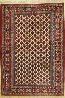 Schirwan alt, Rußland, ca. 50 Jahre, Wolle auf Wolle, ca. 220 x 153 cm, EHZ: 2