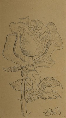Herbert Zangs, 1924-2003 Krefeld, Rosenblüte, Bleistiftzeichnung auf Papier, gebräunt, rechts unten signiert, ca. 32x18cm, PP, u.Gl., R. ca. ...