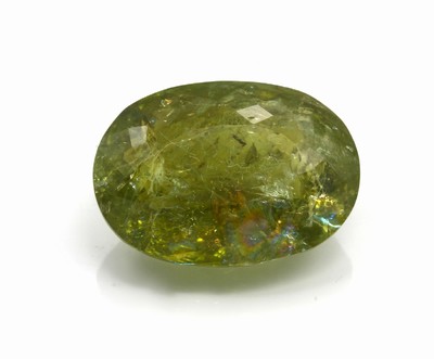 Loser Turmalin (Paraiba) 24.98 ct, ovalfacett., green, AIG-Expertise