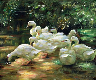 Ziessen, Traditionalist des 20. Jh., 8 weiße Enten im Schilfwasser, Öl/Malkarton, im Stil des Alexander Köster, ca. 50x60cm, PP, R. ca. 75x85cm