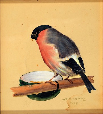 Karl Schicktanz, 1858 Dresden-1920er-Jahre, Paar Aquarelle, Vogelmotive, Gimpel am Futternapf und vier Sperlinge und eine Hummel, je signiert, 1x ...