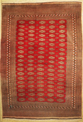 Buchara, Pakistan, ca. 40 Jahre, Wolle auf Baumwolle, ca. 365 x 255 cm, EHZ: 2