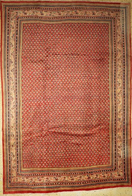 Sarogh Mir, Persien, ca. 50 Jahre, Wolle auf Baumwolle, ca. 320 x 215 cm, EHZ: 2