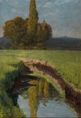 Heinrich Strieffler, 1872 Neustadt-1949 Landau, Landschaft bei Lachen-Speyerdorf, Öl/Malkarton, feine Wasserspiegelung, reiche Varianz in den ...