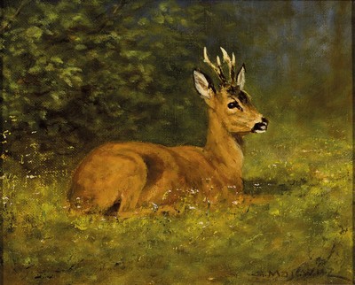 Georg Majewicz, 1897 Polowice/Polen-1973 Münchberg, ruhendes Reh, rechts unten signiert, Öl/Lwd, 24x30 cm, Rahmen, 38x45 cm
