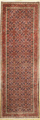 Bidjar fein, Persien, ca. 40 Jahre, Korkwolle, ca. 250 x 85 cm, EHZ: 1-2