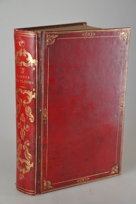Pierre Boitard (1789-1859): Le Jardin des Plantes. Description et Moeurs des Mammiferes de la menagerie et du Museum d'Histoire Naturelle, ...