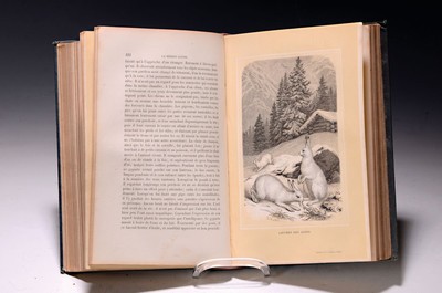 Friedrich von Tschudi (1820-1886): Les Alpes, Description Pittoresque de la nature et de la Faune alpestres, Bern und Straßburg, Treuttel/Wurz 1859, ...