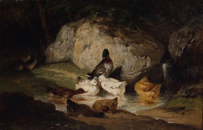 Pierre Cottin, 1823-1887 Paris, Wildenten an einem Bach, Öl/Lwd, links unten signiert, ca. 20.5x30.5cm, R. ca. 33x44cm