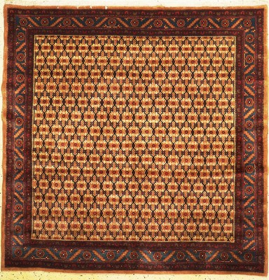 Koliai alt, Persien, ca. 50 Jahre, Wolle auf Baumwolle, ca. 205 x 205 cm, EHZ: 1-2