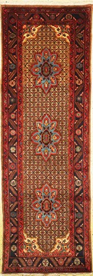 Koliai alt, Persien, ca. 50 Jahre, Wolle auf Baumwolle, ca. 295 x 102 cm, EHZ: 1-2