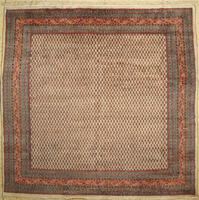 Sarogh Mir, Indien, ca. 40 Jahre, Wolle aufBaumwolle, ca. 251 x 260 cm, EHZ: 1-2