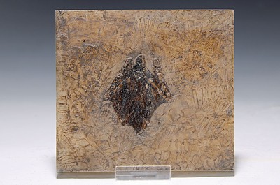 Seltene fossile Fledermaus "Palaeochiropteryx Tupaidon", ca. 40 Millionen Jahre alt, vollständig erhalten, außergewöhnlich feine ...