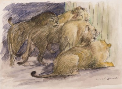 Otto Dill, 1884 Neustadt a.d. Weinstraße-1957 Bad Dürkheim, 5 Löwen im Gehege, Aquarell über Bleistift, rechts unten signiert, ca. 31x43cm, ...