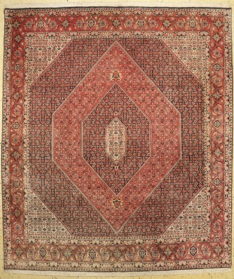 Bidjar Kork fein, Persien, ca. 40 Jahre, Korkwolle auf Baumwolle, ca. 300 x 256 cm, leicht verblasst, EHZ: 1-2