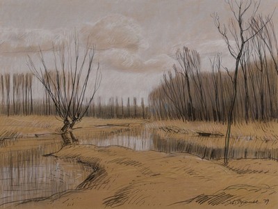 Werner Brand, 1933 Löbau-2021 Hochstadt/Pfalz , Altrheinlandschaft, Pastell auf Papier, signiert und datiert 79, unter Glas gerahmt 62x78 cm