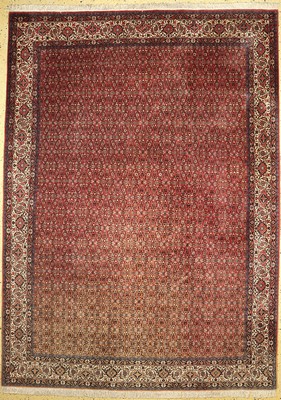 Bidjar fein, Persien, ca. 50 Jahre, Korkwolle auf Baumwolle, ca. 355 x 255 cm, verblasst, EHZ: 1-2